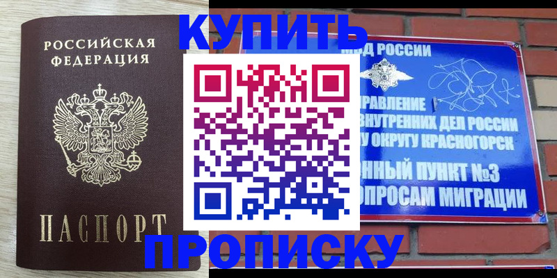 прописка гарантия в Райчихинске